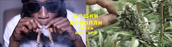 2c-b Надым