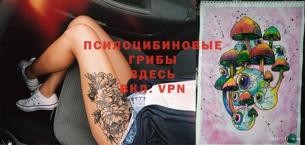 2c-b Надым