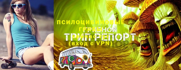 2c-b Надым