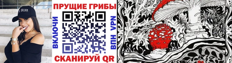 Купить где  Елабуга  Галлюциногенные грибы Psilocybe 